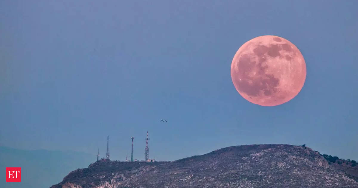 Pink moon 2024